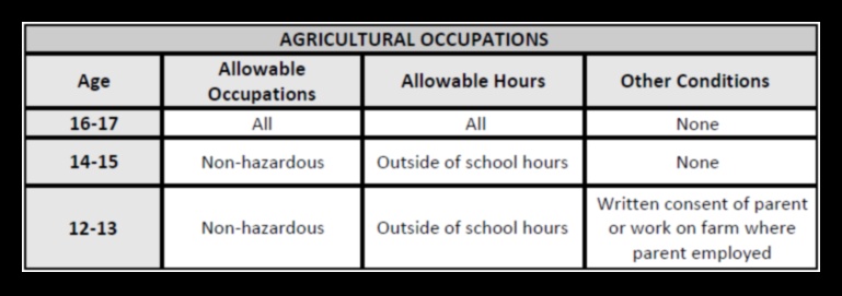 13-Year-Old Jobs in Michigan A Guide 1